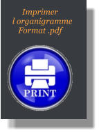 Imprimer    l organigramme      Format .pdf